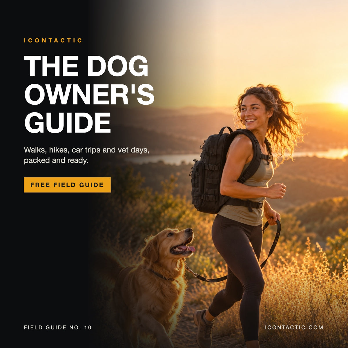 The Dog Owner's Guide free ebook cover by ICONTACTIC
